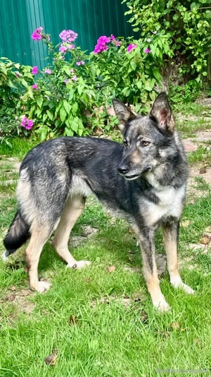 Ruhige Abi sucht ihren Platz Bild 2