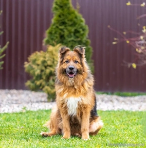 Bekommt Rakhat eine 2.Chance?! Bild 2