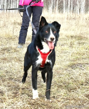 Mike sucht Traumzuhause  Bild 2