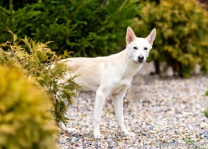 Wer nimmt Mickey in sein Leben..?! Bild 3