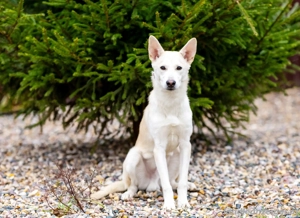 Wer nimmt Mickey in sein Leben..?! Bild 2