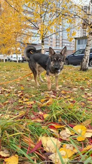 Charmante Betty sucht Familie Bild 2