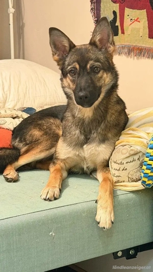 Charmante Betty sucht Familie