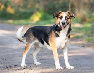 Tyson will nochmal seine ganze Liebe zeigen Bild 3