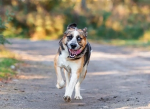 Tyson will nochmal seine ganze Liebe zeigen Bild 4