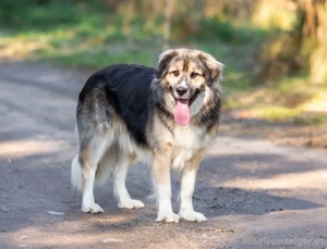 Dick sucht neue liebe Menschen Bild 2