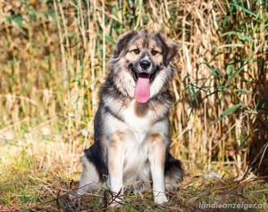 Dick sucht neue liebe Menschen Bild 4