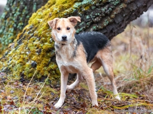 Asya ist schüchtern aber mit viel liebe...