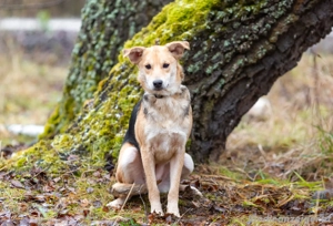 Asya ist schüchtern aber mit viel liebe... Bild 2