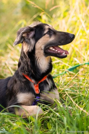 Der mutige Philip sucht seine Menschen Bild 2