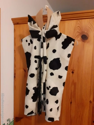 Faschingskostüme für Kinder Bild 6