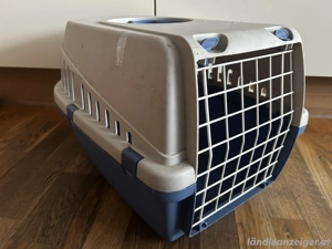 All in one Katzenpaket  Bild 4