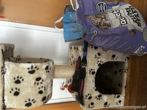 All in one Katzenpaket  Bild 2