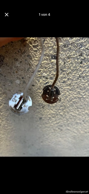 H3 Leuchtmittel 12V 55W 2 Stück Bild 3