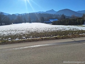 Baugrund Rosegg Bild 2