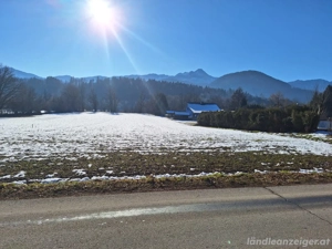 Baugrund Rosegg Bild 4