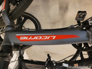 Klappräder#Licorne Bild 2