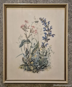 Diverse Bilder aus einer Wohnungsräumung inklusiv Rahmen werden verkauft 2 Bild 5