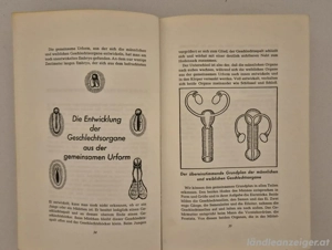 Das große Buch der Liebeslehre Bild 7