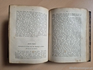 Buch  Beginn der deutschen Geschichte    Michael Zimmermann, Hafner Bludenz  Bild 5