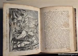 Buch  Beginn der deutschen Geschichte    Michael Zimmermann, Hafner Bludenz  Bild 7