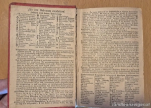 Faszinierende Zeitgeschichte: Taschen-Konversations-Lexikon von 1889 Bild 8