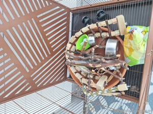 Vogelkäfig Bild 2