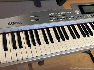 Keybords zu verkaufen Bild 4