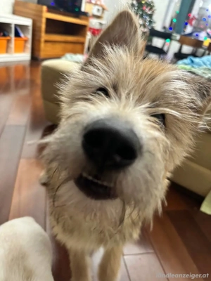 Lustige Jersey verzaubert alle