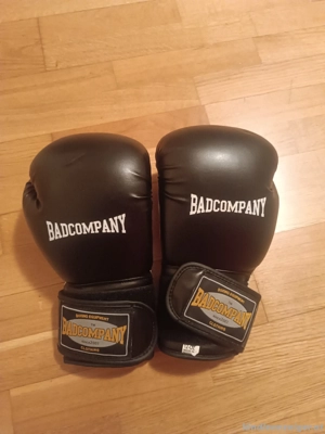 Boxsack mit Handschuhen Bild 2