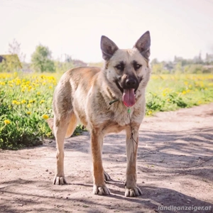 Wunderschöne Linda sucht Bild 3