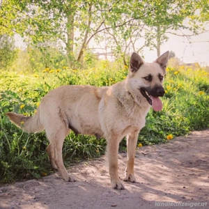 Wunderschöne Linda sucht Bild 2