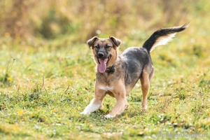 Ruhige Kara sucht ihren Endplatz Bild 2