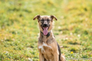 Ruhige Kara sucht ihren Endplatz Bild 3