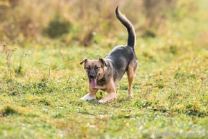 Ruhige Kara sucht ihren Endplatz Bild 4