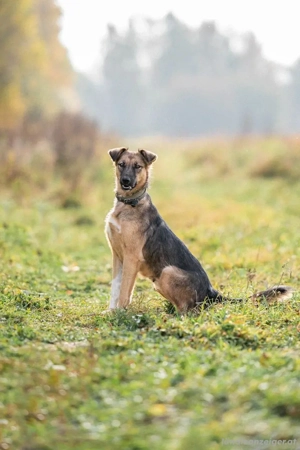 Ruhige Kara sucht ihren Endplatz Bild 5