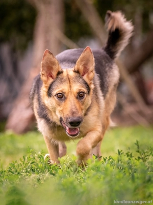 Kann Vishnja dich verzaubern ?! Bild 2