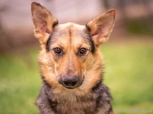 Kann Vishnja dich verzaubern ?! Bild 4