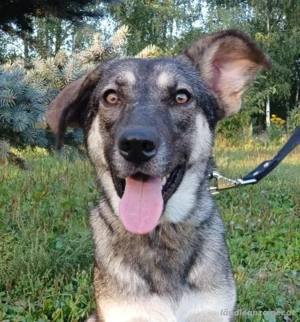 Verzaubert Lori dich mit ihren Augen ?! Bild 5