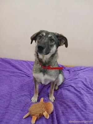 Verzaubert Lori dich mit ihren Augen ?! Bild 3