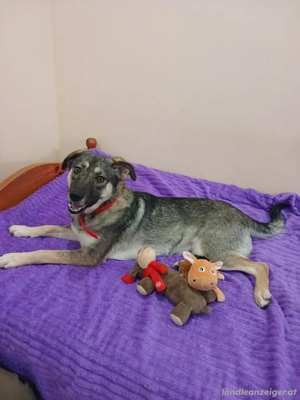 Verzaubert Lori dich mit ihren Augen ?! Bild 2