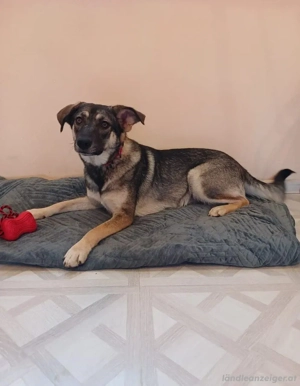 Verzaubert Lori dich mit ihren Augen ?! Bild 4