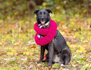 Wunderschöne Jasmine mochte geliebt werden