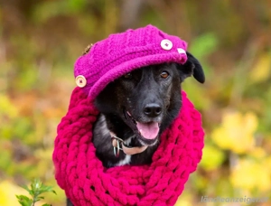 Wunderschöne Jasmine mochte geliebt werden Bild 4