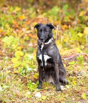 Wunderschöne Jasmine mochte geliebt werden Bild 5