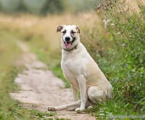 Kannst du Nemo lieben trotz handicap?! Bild 4