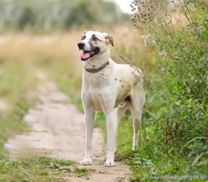 Kannst du Nemo lieben trotz handicap?! Bild 5