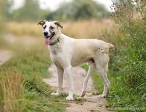 Kannst du Nemo lieben trotz handicap?! Bild 2