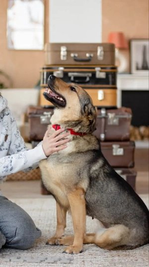 Wunderschöne Musya wartet auf dich Bild 2