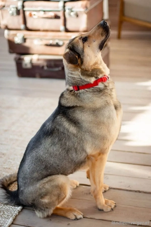 Wunderschöne Musya wartet auf dich Bild 5